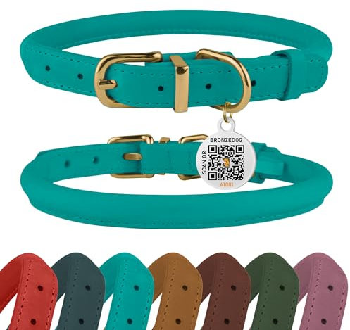 BRONZEDOG Hundehalsband aus gerolltem Leder mit QR-ID-Tag, verstellbar, weiche runde Halsbänder für kleine, mittelgroße und große Hunde, Welpen, Katzen (Türkis, 28-36 cm)