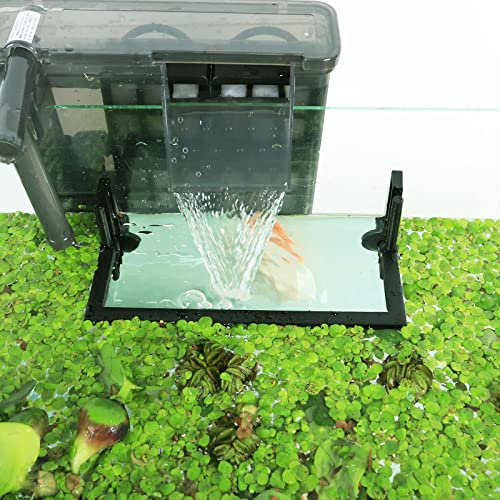HOZOE Corral de plantes flottantes pour aquarium - Intercepter les plantes flottantes des filtres et des radiateurs - Hauteur réglable avec niveau d'eau - Peut être utilisé pour les aquariums encadrés