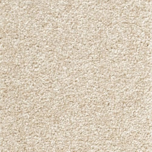 Teppichboden Meterware 500 cm und 400 cm Breite Wohnzimmer und Schlafzimmer Teppichboden in Velours Qualität Auslegware in Creme Weiß