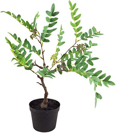 Leaf Künstliche Blattpflanze, 50 cm, Immergrüne Beeren