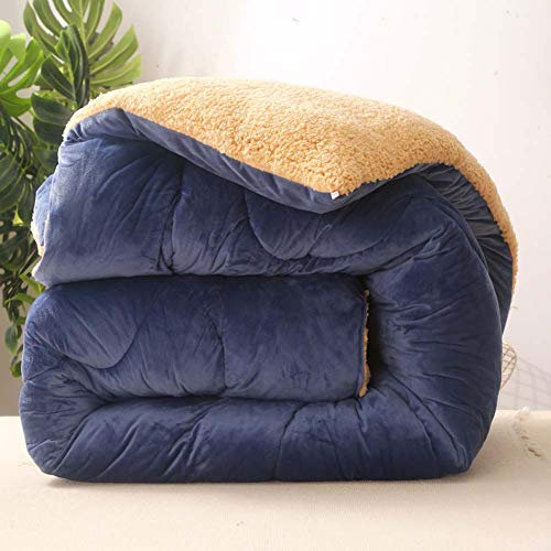 Daunendecke Doppelbett, Winter Warmer Lammsamtkern Dicker Warmer Plüsch - Plus Samtkern Steppdecke Wintersteppdecke mit 100% Baumwolle Daunendichter Stoff (Blau 180 * 220cm 6.6lb)