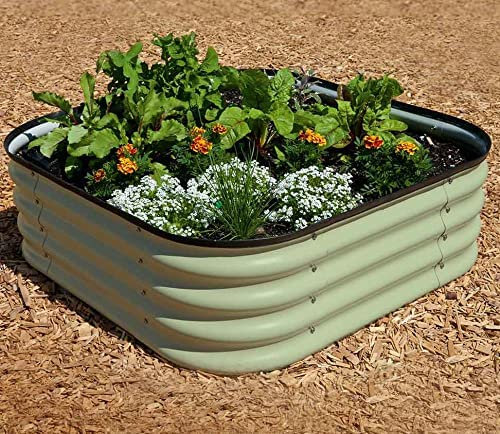 Original Veggie Bed Sage Garden Planting Mist Green Vegetable Planter Easy to Grow our Own 2x Veg Bed by Thompson and Morgan. (Mist Green) 40 x 130 x 90cm