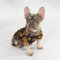 Snoop Doggie Doggs Deluxe Pet PJs, Off The Chain, Größe S