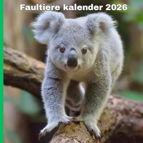 Faultiere kalender 2026