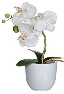 Mica decorations Phalaenopsis Kunstpflanze im Blumentopf Tusca - H26 x Ø12 cm - Weiß