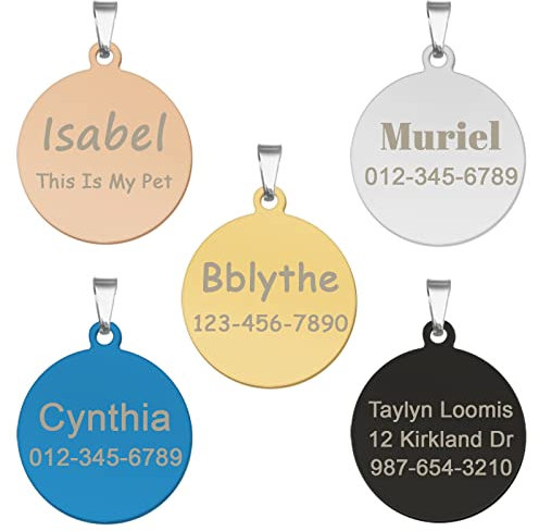 CAMAL Chapa Perro Grabada, 2 Piezas Chapas Personalizadas para Perros y Gatos, Placas para Perros Grabadas Acero Inoxidable, Forma de Redonda (Grande, Plata)