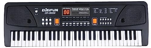 YIWEOG 61 Keys USB Electronic Organ Electric Piano with Microphone Black Digital Music Electronic Keyboard with LED Display Built-in Stereo Speakers with 16 Tones 10 Rhythms 6 Demo Songs 8
