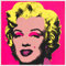 Poster Andy Warhol Portrait Marilyn Monroe Pin Up Rosa Pop Art