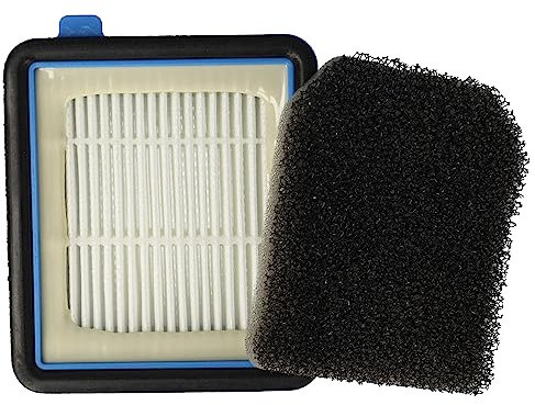 vhbw 1x HEPA-Filter, 1x Vormotor-Filter kompatibel mit Electrolux PF91, FX9 Staubsauger