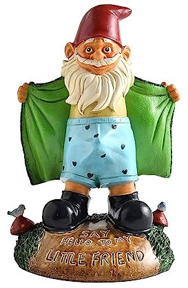 Funny Garden Gnome Statue Resin Gnomes Figurines SAY Hello to My Little Friend Indoor Ornament Gift Outdoor Garden Decorations for Home Patio Yard Lawn Porch (Green)