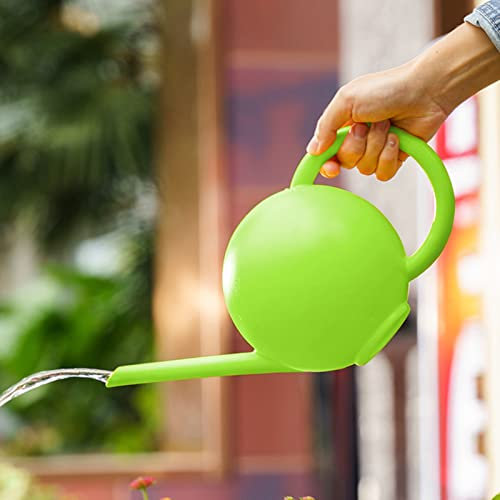 PANGHUBO Regadera pequeña de 1,5 L para plantas de interior, regadera de casa con boquilla larga y delgada, mini regadera para flores, suculentas, jardinería Bonzai, 1 con bandeja (B)