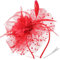 DRESHOW Chapeau Fascinateur Bandeau de Plumes Chapeau Fascinateur pour Femmes avec Clip Bandeau Fleuri pour Filles et Femmes
