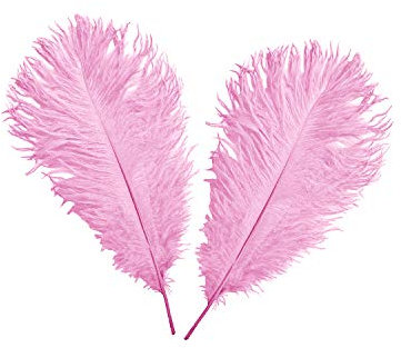 WedDecor Baby Pink Natural Ostrich Feathers 14-16 (35-40cm) Long for Wedding Centerpieces, Home, Decorating Costumes, Embellishment, Art & Craft, Parties (Pack of 10)