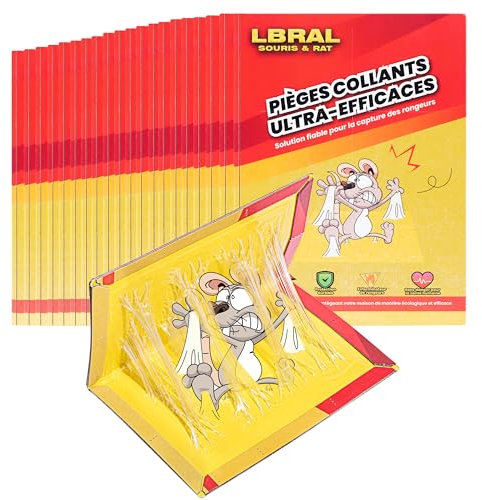 Pièges à Souris & Rats – Lot de 20 Plaques de Glu Ultra-Collantes | Pliable, Non Toxique, Facile à Installer | Usage Intérieur & Extérieur | Format XL Anti-Rongeurs
