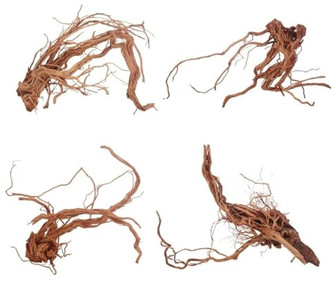 AquaOne Aquarium Wurzel Deko Drachenwurzel L 1 Stück Aquascaping Echtholz Drachen Curlwurzel Dragonwood Holz Dekoration Pflanzen Landschaft Moos Natur