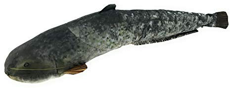 Gaby Kuscheltier Fisch Kissen Stofftier Plüschtier Plüschfisch Geschenkidee Wels 62cm