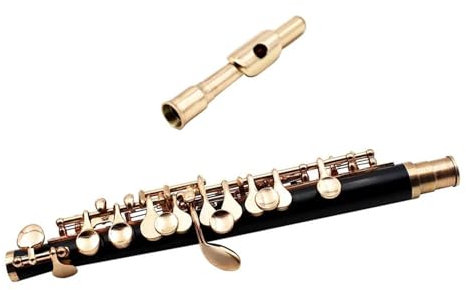 Querflöte Instrument C-Ton-Piccolo, Halbe Größe, Bakelit-vergoldete Piccolo-Flöte Mit Gepolstertem Koffer Und Zubehör