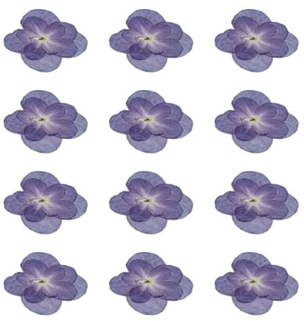 Fonowx 12 fiori secchi di ortensia fiori secchi di ortensia floreale veri fiori secchi pressati per candele profumate