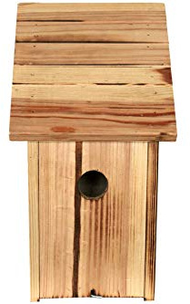 Nistkasten Sweet Family 33,5 x 14,5 cm Vogelhaus Brutkasten