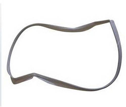 Guarnizione filtro portafoglio originale Asciugatrice 481246688521 WHIRLPOOL