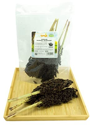 Getzoo Sorghum schwarz - getrocknet (Bund)