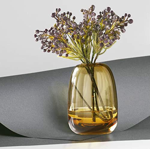 XIUWOUG Vase en Verre épais pour la Décoration Intérieure,Petit Vase en Verre Clair pour Décoration de Table (Vase Uniquement),Amber l