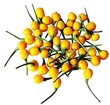 Aji Charapita Peperoncino 1000 Semi -Bulk- -Spedizioni dalla Germania-