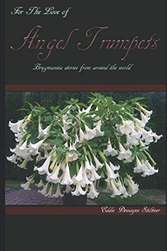 For The Love of Angel Trumpets; Brugmansia Stories From Aroumd The World