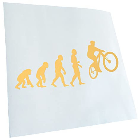 - Autoaufkleber - Evolution Mountainbike Radfahren Aufkleber für Auto, Laptop, Fahrrad, LKW, Motorrad mehrfarbig JDM Decal Racing