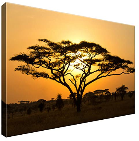 Estika Leinwand bilder - Savanne, Akazie, Sonnenuntergang - 60x40 cm, 1 teilige kunstdruck - Wandbilder wohnzimmer, schlafzimmer, Moderne wanddeko, Bild auf leinwand - Afrika bilder - 1249A_1E
