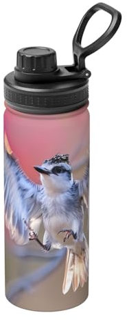 Phayah Bird in Flight Camping Wandern Trinkflasche, Edelstahl, doppelwandig & vakuumisolierte Wasserflasche