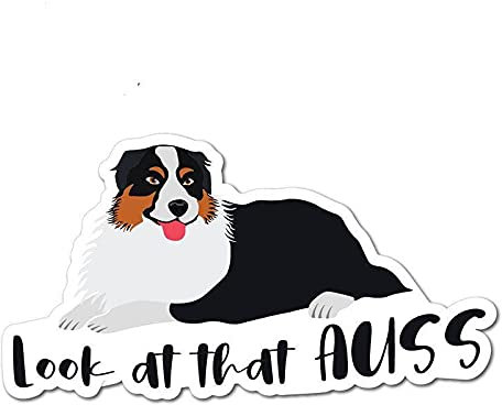 13 cm x 7,1 cm per Look At That Asuu Funny JDM Adesivi per auto in vinile