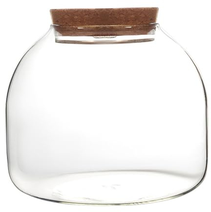Terrario in vetro per piante da 1600 ml con coperchio in sughero, barattolo con apertura per mini paesaggi di piante grasse, esposizioni floreali, collezioni artigianali