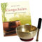 Therapie KLANGSCHALE 300-400g + BUCH Peter Hess 4-tlg Klangmassage SET. UNIVERSALSCHALE Handarbeit NEPAL. 1 x Klöppel + ZUBEHÖR. 70192-20