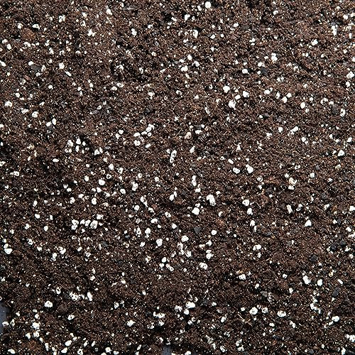 Premium Houseplant Potting Mix with activated Biochar, potting soil for indoor plants (10L)