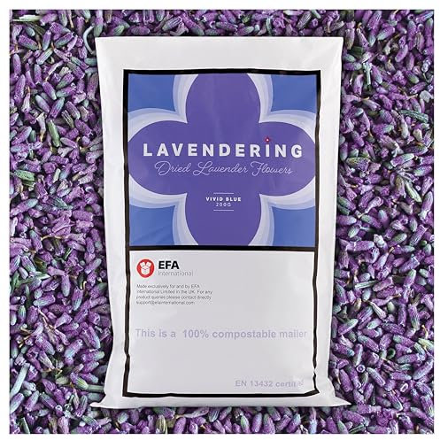Lavendering Lavender; Vivid Blue Lavender Buds, Dried Lavendar Flowers (400, Grams)
