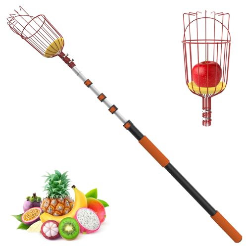 LAANPOLE Cueilleuse à fruits 3,6 m avec manche télescopique, cueillette de pommes télescopique professionnelle pour arbres hauts, convient pour les pommes, les agrumes et les prunes