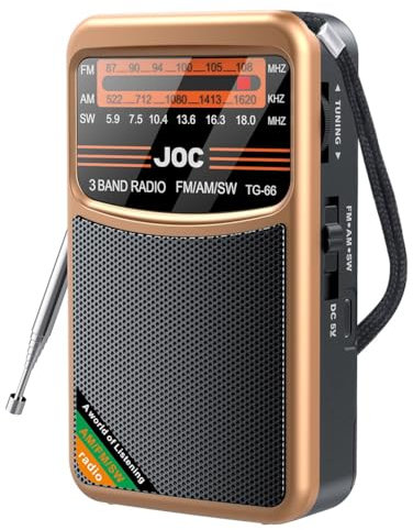 Radio Portable Mini Qerwsdty Noir AM/FM/SW avec Batterie Rechargeable et Support Écouteurs