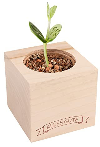Monsterzeug Magische Zauberbohne, Bohnen Pflanze mit Aufschrift Alles Gute, Topfpflanze zum Geburtstag, Anzuchtset