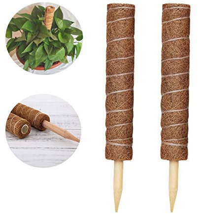 LINSOCLE 2 Pièces Tuteur Plante,Tuteur Coco, Poteau De Coco, Bâton De Coco pour La Maison Jardin Plante Grimpantes Extension De Support De Plante