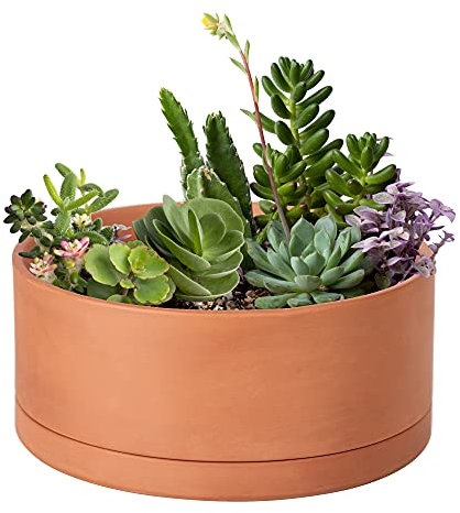 D'vine Dev 40-Y-B-0 Sukkulententententopf mit Ablaufloch und Untersetzer, runder Zylinder-Pflanztopf für Pflanzen, 25,4 cm, Terrakotta, Flacher Topf