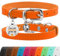 BRONZEDOG Katzenhalsband aus Leder mit Glöckchen, Nicht abreißbar, QR-Tag für Mädchen und Jungen (Orange und Silber, 18-23 cm)