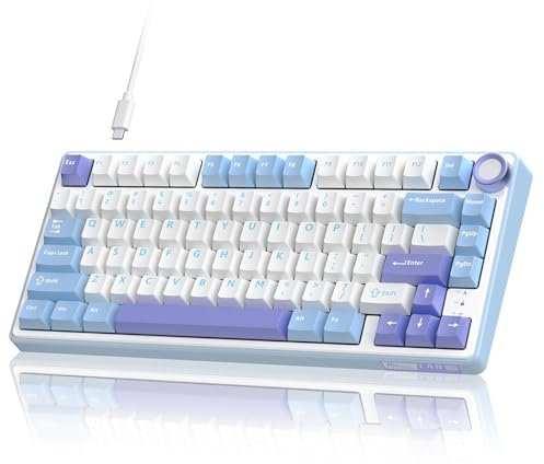 RK ROYAL KLUDGE R75 Mechanical Keyboard Wired with Volumn Knob, 75% TKL Custom Gaming Keyboard Gasket Mount RGB Backlit with Software, Cherry Profile, Hot Swappable Silver Switch, PBT Keycaps