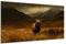 DARO Design - Wand-Bild auf 6mm HDF 30x40 cm Hirsch auf Feld - Wand-Deko Bilder Geschenk