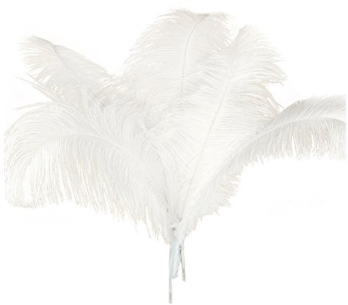 Globalflashdeal 10 Pcs Naturel Plumes D'Autruche Decoration Noel Blanc 45-50Cm