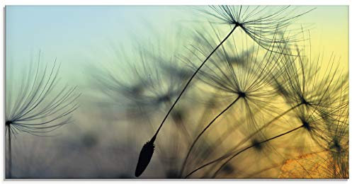 ARTland Wanddeko Glasbilder Wandbild Glas Bild einteilig 60x30 cm Querformat Natur Blumen Pusteblume Sonnenuntergang Himmel Moderne Kunst T5XL