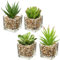 Briful Pianta artificiale, piante grasse artificiali, per soggiorno, bagno, piante ornamentali, piante grasse, altezza 10,5 cm, in vaso di vetro, set da 4 pezzi