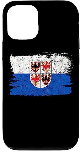 Hülle für iPhone 15 Pro Trentino Alto Adige Region Italien Flagge Trento Vintage