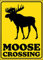 Ata-Boy Kanada-Magnet – Moose Crossing 6,3 x 8,9 cm Magnet für Kühlschränke, Whiteboards und Spinddekorationen