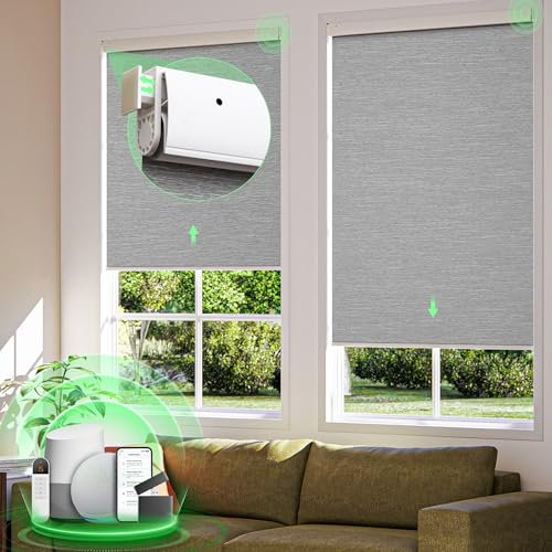 Motorized Blinds with Remote, No Drill Cordless Roller Shades, 100% Blackout Smart Blinds, Compatible with Alexa, Google, Automatic Blinds for Windows, 28 Wx72 H